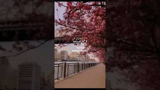 فخلف من بعدهم خلف أضاعوا الصلاة واتبعوا الشهوات فسوف يلقون غيا ✨🌚سورة مريم🌸💗🍃 القارئ شريف مصطفى 🌿💙💐