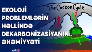 Təbiəti karbon qazından qorumamağın iqlimə zərəri