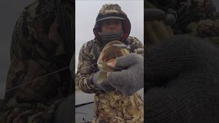 BETTER than LIVE BAIT??? #bassfishing #fishing #shortvideo #shorts