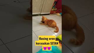 kucing Oren kerasukan SETAN 😈🔥 😈 #cat #kucinglucu #funnycats#shorts