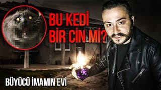 BU KEDİ CİN Mİ? - BİZİ BÜYÜCÜ İMAM'ın EVİNE GÖTÜRDÜ - Paranormal Olaylar