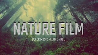 A Nature Film  -  Beautiful Nature & Sounds | Cinematic Video | Canon 200D ( SL2 ) | Amazing Nature