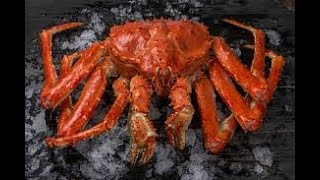 КРАБ ЛИОФИЛИЗИРОВАННЫЙ- CRAB MEAT LYOPHILIZATION