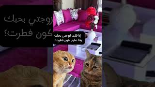 اضحك من قلبك 😂😂#كوميديا #اضحك #cat #cats #catlover #فرفوشه #فرفشه #الضحك #ههههههه