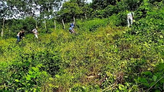 FAZENDO O ROÇO NO MEU TERRENO  PARA O CAPIM CRESCER !