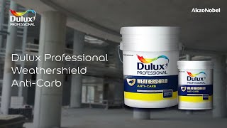 Dulux Professional Weathershield Anti-Carb