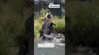 Crocodile Attack #shorts #viral