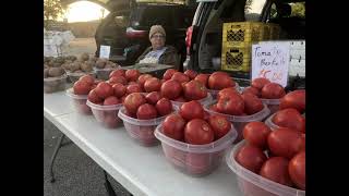 Oelwein Farmers Market 🧑‍🌾 Oelwein, Iowa #farmersmarket #iowa