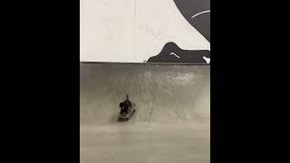 Puppy Skating - So Cute!!