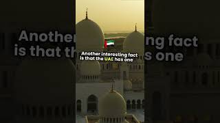 5 Interesting Facts About UAE! #shorts #unitedarabemirates #uae