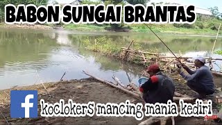 Mancing ikan nila di sungai Brantas||spot fenomenal makam klitikan