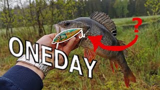 One Day Build to Catch - Jerkbait ? Vi bygger en wobbler och fångar fisk på 24H ! [Abborrfiske]