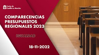 Comisión de Economía y Presupuestos (Igualdad) 18-11-2022