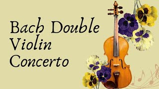 Bach Double Violin Concerto: Step-by-Step Guide for Beginners and Advanced 🎼