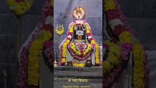 Sri Kasi Vishwanath Siva Temple Vandalur Chennai | Sri Siva Tandavam | Om Namo Shivaya