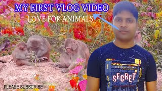 Love for animals vlog video/Doyanmukh video/🐒 monkey vlog video/ west karbi anglong monkey  video