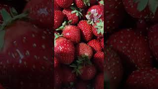 Клубника 🍓 удалась.