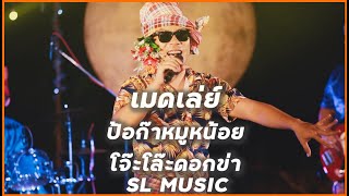 ป้อก๊าหมูหน้อย + โจ๊ะโล๊ะดอกข่า [SL MUSIC]