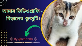 আমার ভিডিওগ্রাফি:)- বিড়ালের খুনসুটি 😺