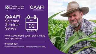 North Queensland cotton-grains-cattle farming systems