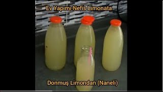 Feyzadan ev yapımı nefis limonata (donmuş limondan)