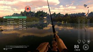 Fishing Planet - Tuesday Afternoon Competitions