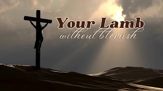 Your Lamb Without Blemish