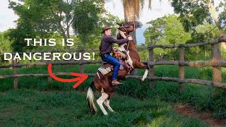 How To Fix A REARING Horse! (VERY Dangerous Habit!)