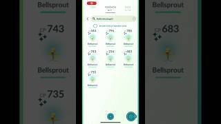 #bellsprout #communityday recap ! How’d yours go? #pokemongo #pogo #shiny #shinypokemon #kanto