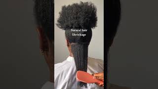 This means your hair is healthy… #naturalhairshrinkage #type4hair