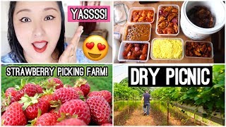 Fun Day at the Strawberry Picking Farm | Delicious Nepali Food for Picnic! - Day #128