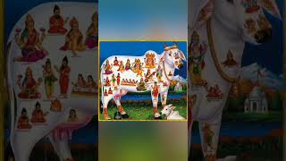 Mata Kamdhanu chalisa#bhakti #viral#songs#shorts