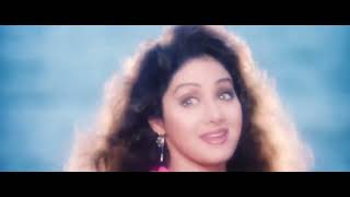 Janam Mari Janam___Mr.Bechara___Sridevi & Nagarjuna___Udit Narayan & Alka Yagnik (1996)