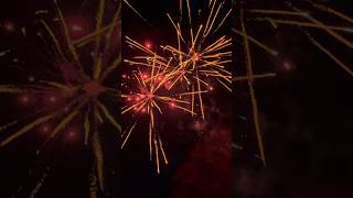 Monkey business by raccoon fireworks #shorts #fireworks ￼