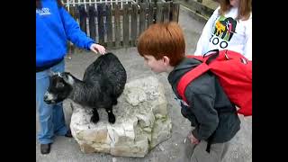 Cameron's Conversation With A Goat