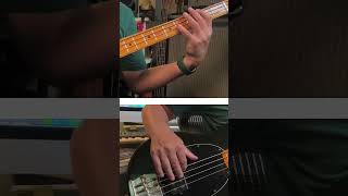 Disco Funk Bass Line [1978 MusicMan StingRay]