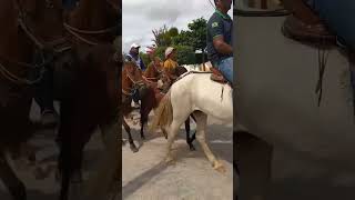 Tradicional missa do vaqueiro. #caraibeiras terra da rede. Pernambuco. vale apena conhecer