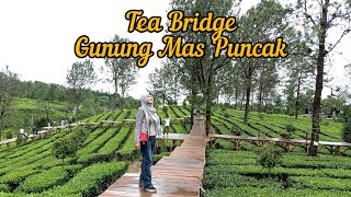 Tea Bridge Gunung Mas Puncak