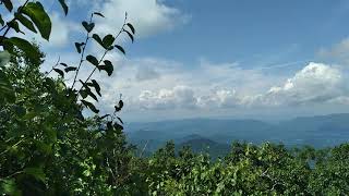 Top of Blood Mountain - Blairsville, GA