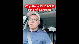 Cổ phiếu họ VINGROUP bùng nổ giá,volume #chungkhoan