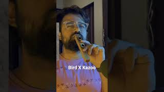 Bird X Kazoo #kazoo #musicalinstrument #bird