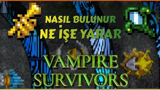 Yedinci Borazan ve Gracia'nın Aynası Nasıl Bulunur Ne İşe Yarar? | Vampire Survivors