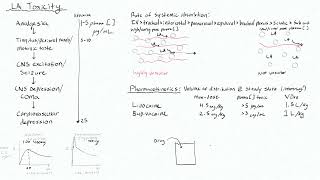 Local Anesthetics 6 - Volume of Distribution for Local Anesthetics