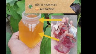 How to make onion peel fertilizer at home