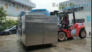 Quick Freezing Seafoods Machine Commercial Minus 60 Degrees Blast Freezers for Fish