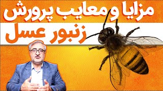 مزایا و معایب پرورش زنبورعسل