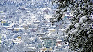 Bursa Kar Yağışı I CANLI YAYIN I