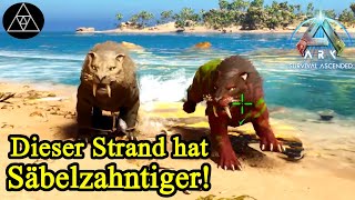 Top Level Säbelzahntiger! ► ASA E51 - ARK: Survival Ascended