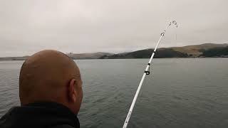 Tomales Bay halibut fishing