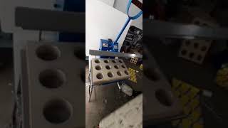 Blister Packing Machine